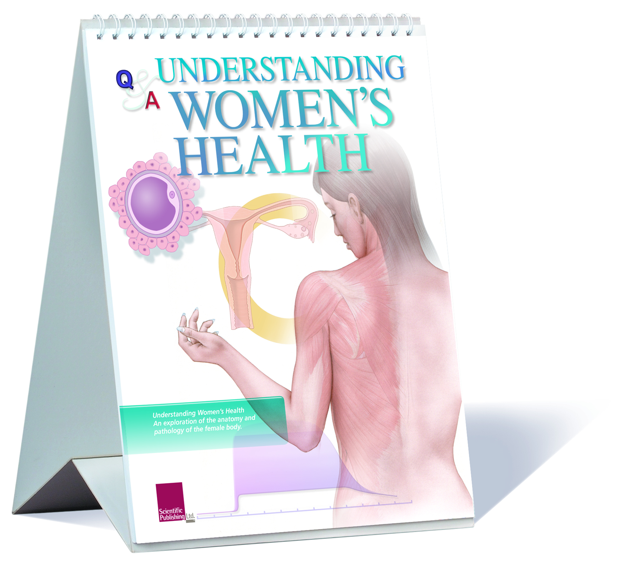 A flip chart to understanding women's health