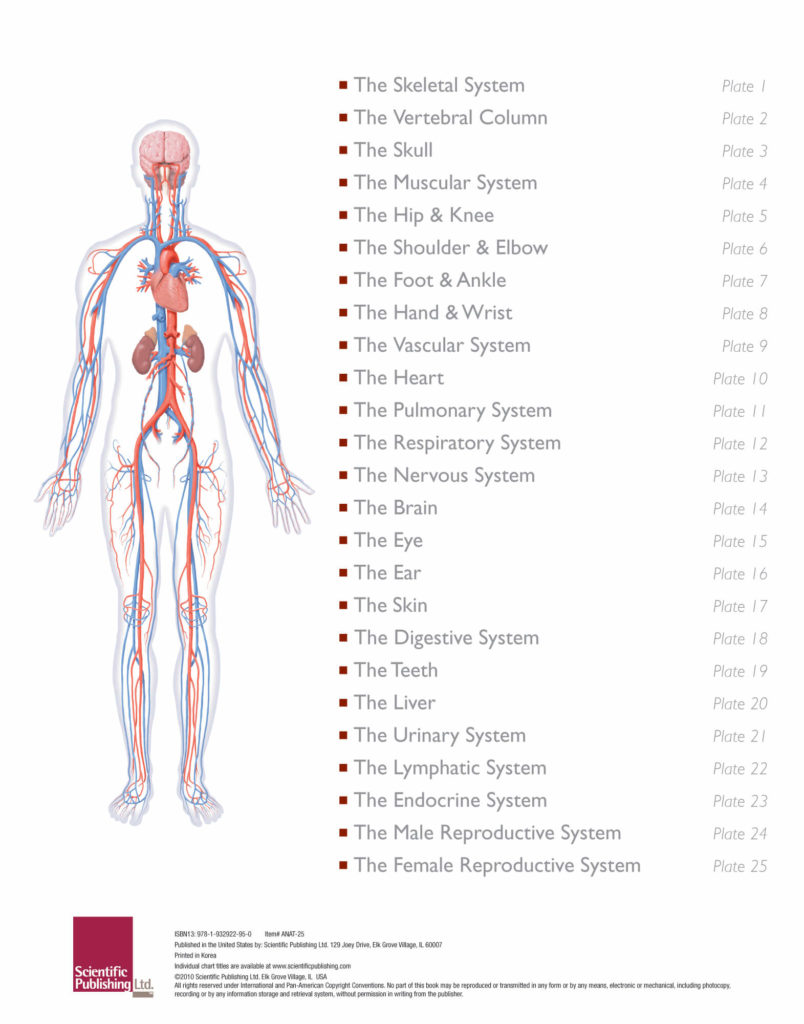 The Illustrated Atlas of Human Anatomy Biology Diagrams