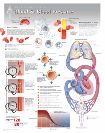 Scientific Publishing 1450F Understanding Hypertension Flip Chart