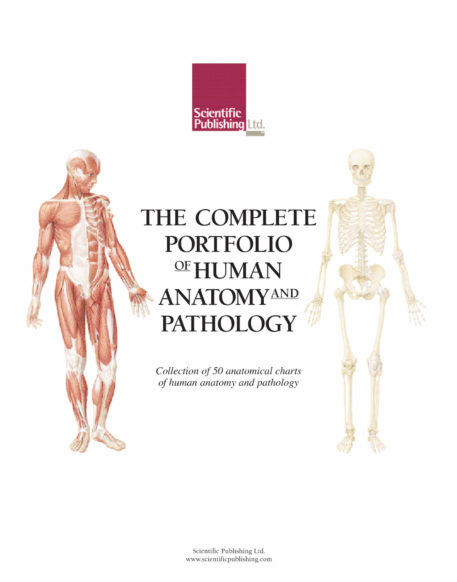 The Complete Portfolio of Human Anatomy and Pathology - Image 3