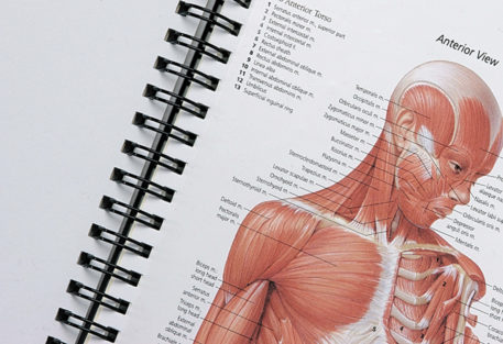 The Illustrated Portfolio of Human Anatomy and Pathology - Image 2