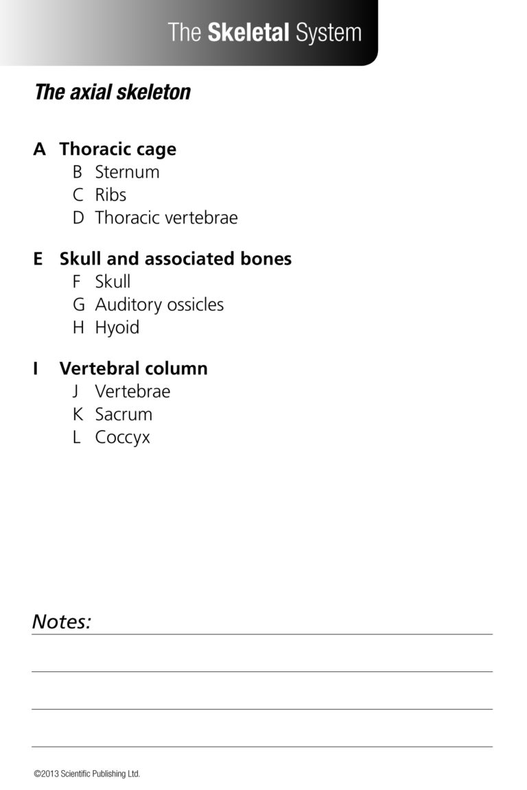 Anatomy & Physiology Flash Cards Scientific Publishing