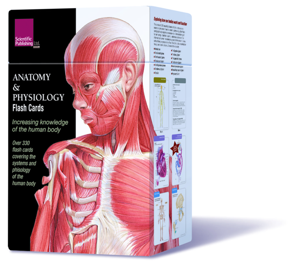 Anatomy & Physiology Flash Cards Scientific Publishing