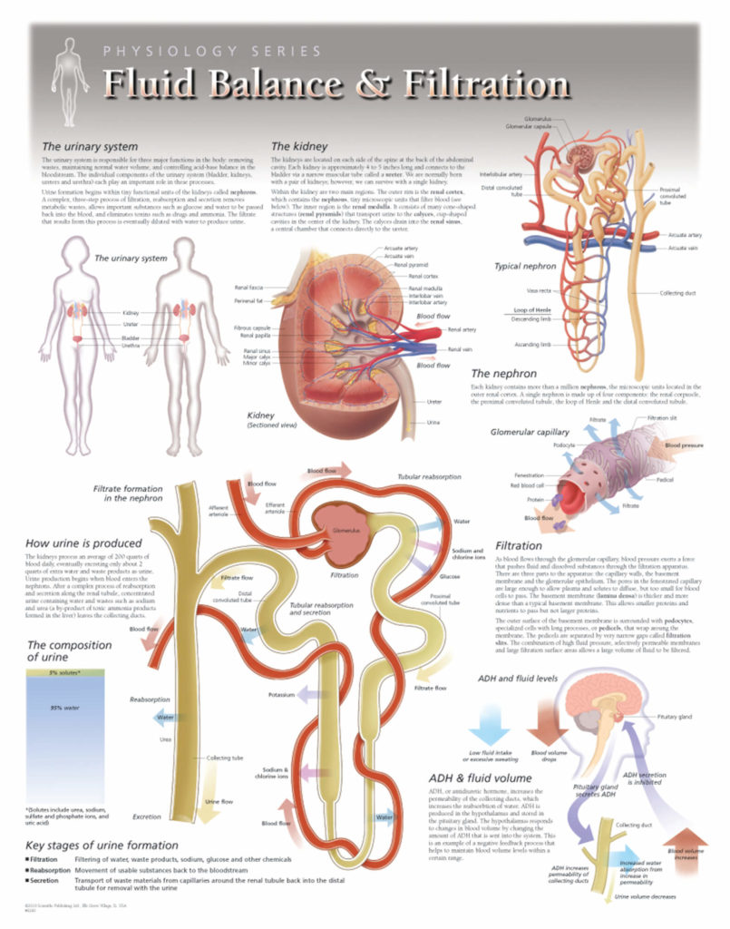 Fluid Balance Scientific Publishing