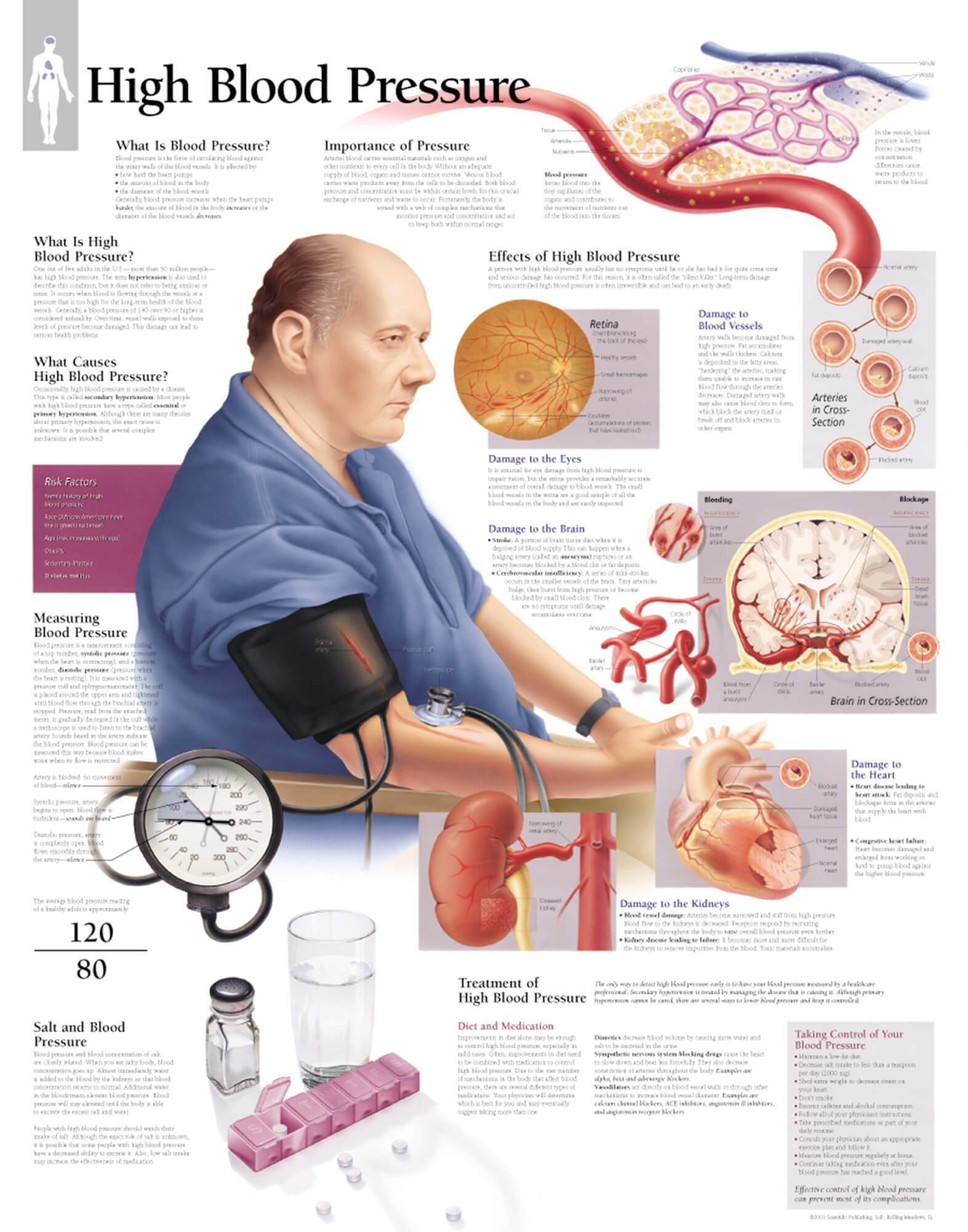 The Illustrated Atlas Of Human Pathology Scientific Publishing