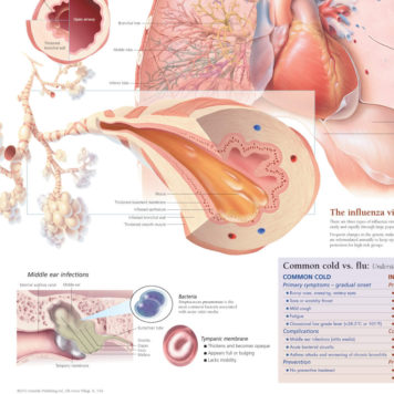 Respiratory