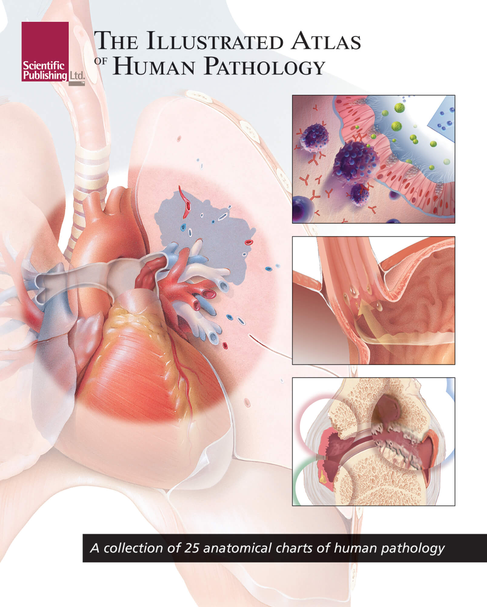 pathology portfolio