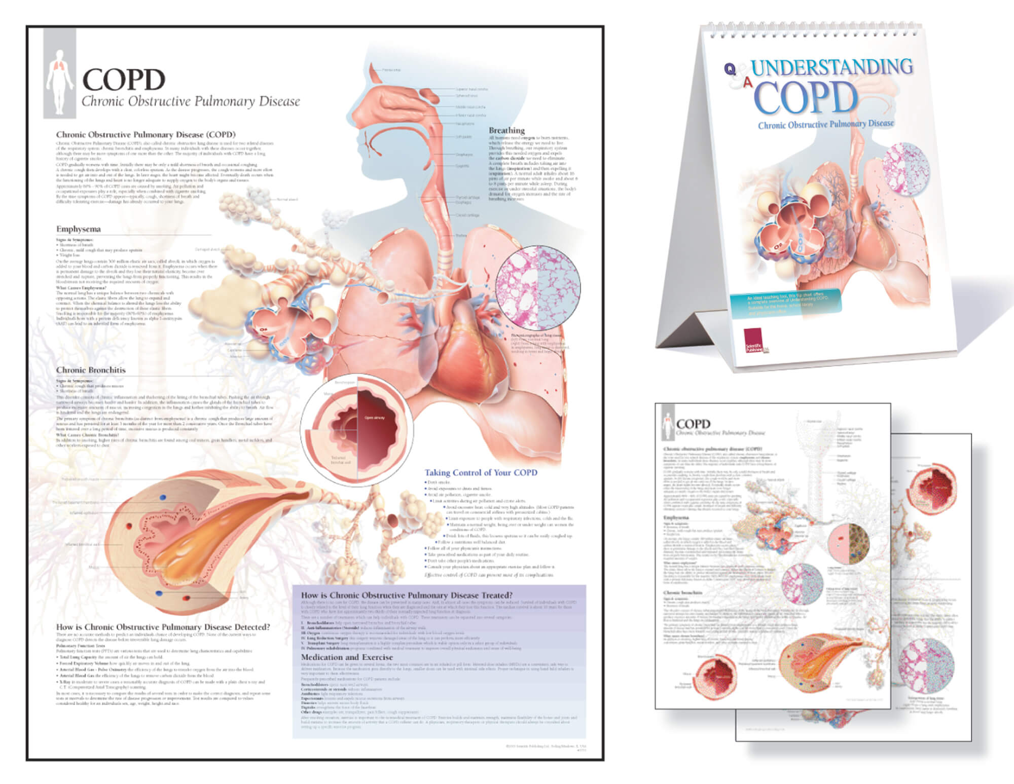 COPD Patient education