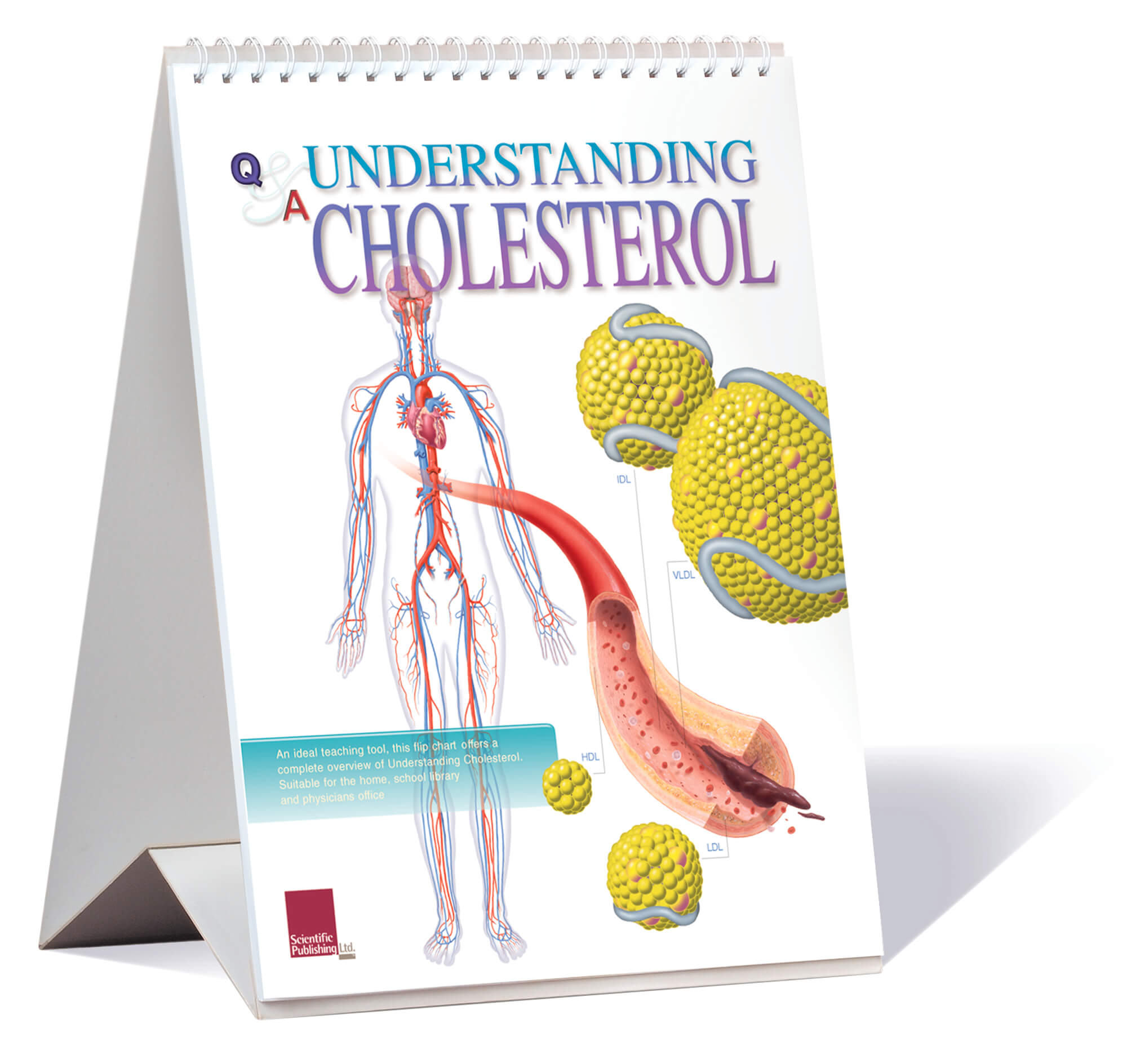 Cholesterol flip chart