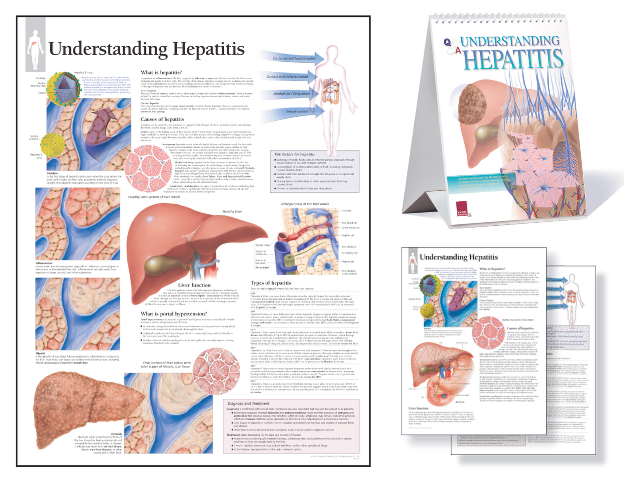 hepatitus patient education