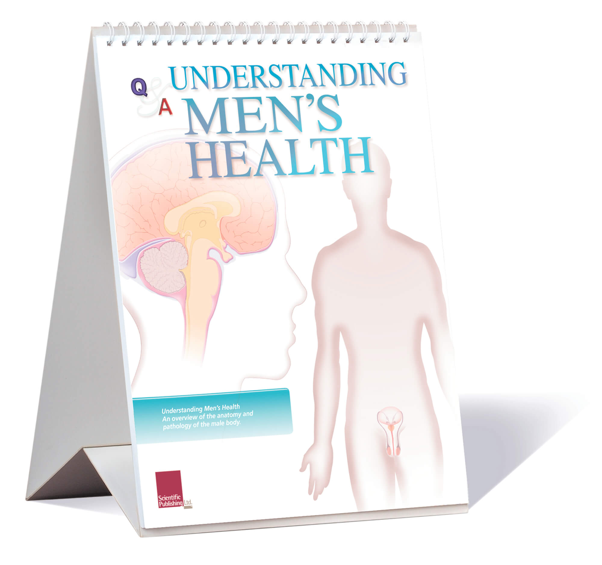 Mens health flip chart