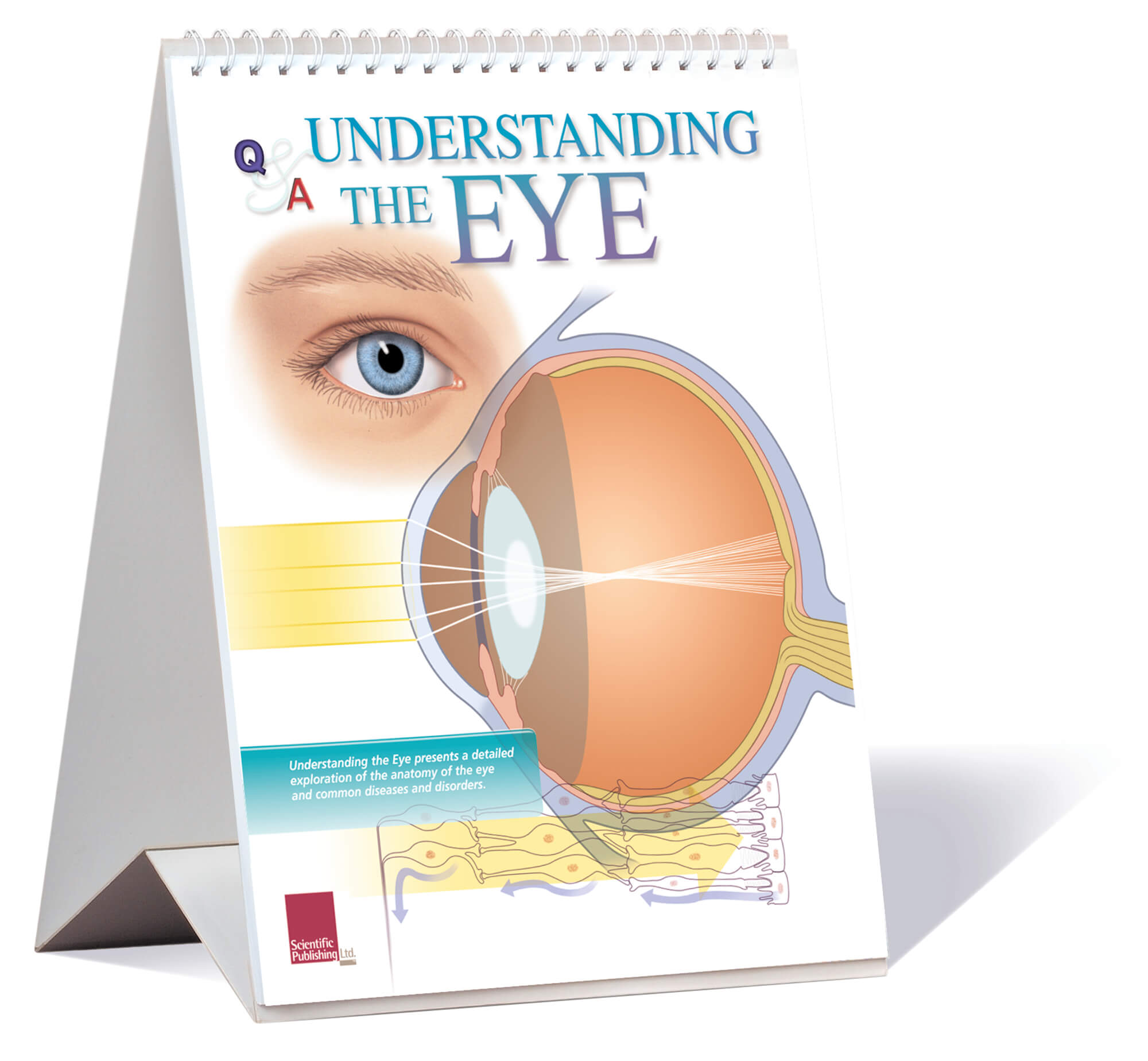 Understanding the eye flip chart