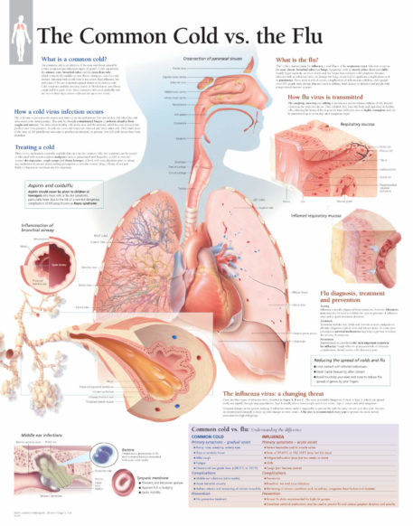 common and flu