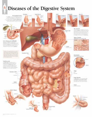 digestive diseases