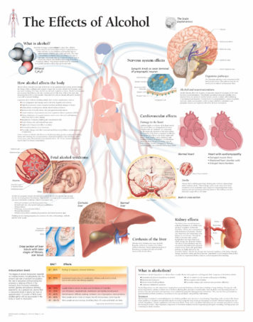 alcohol effects