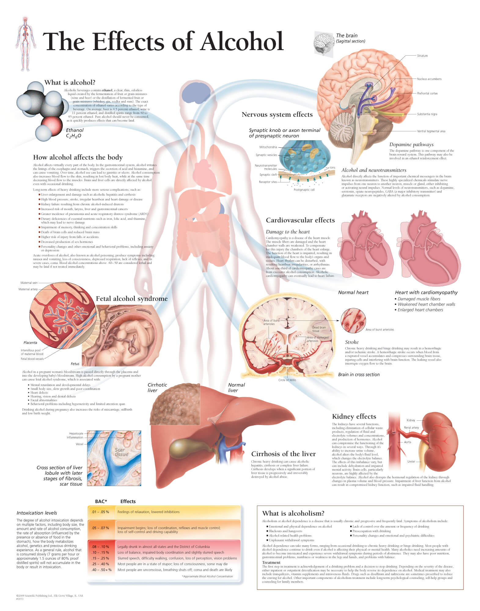 research alcohol effects