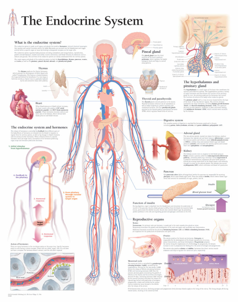 Scientific Publishing Biology Diagrams