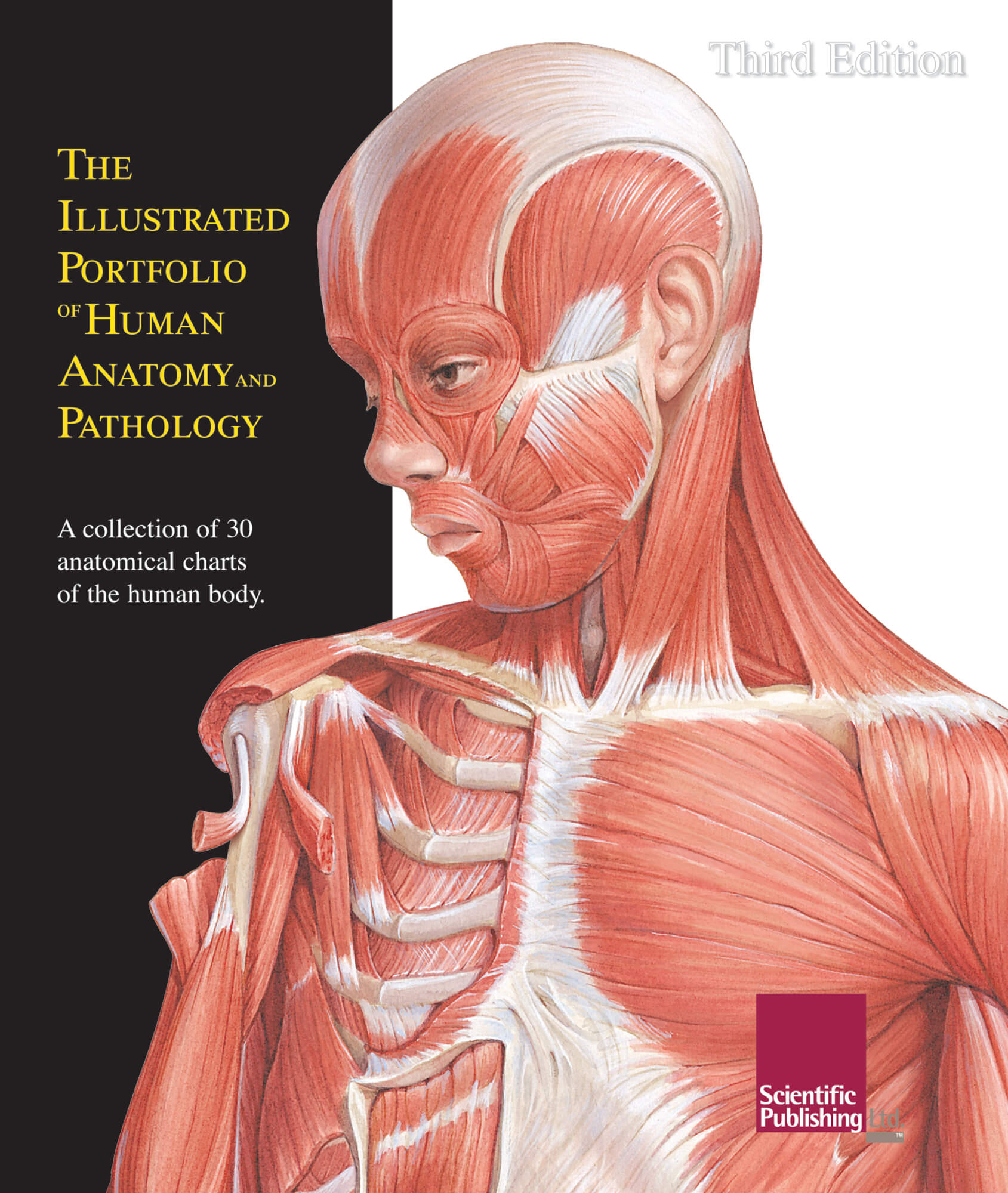 anatomical portfolio
