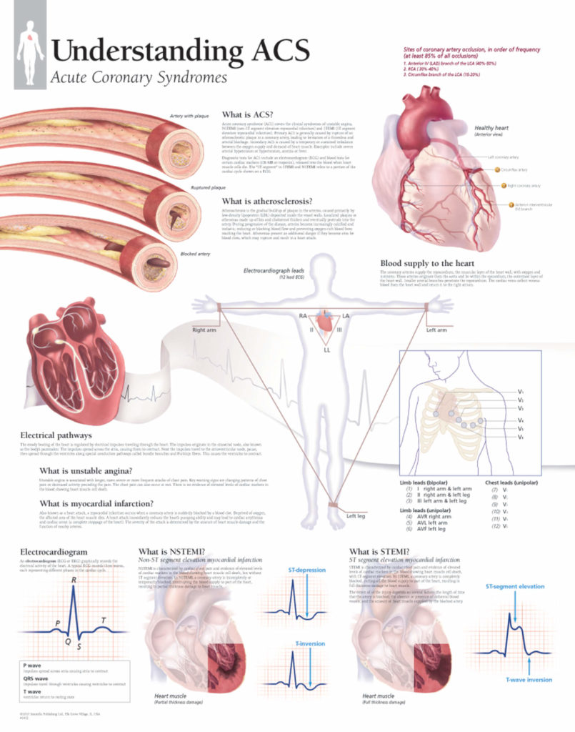 Understanding ACS – Scientific Publishing