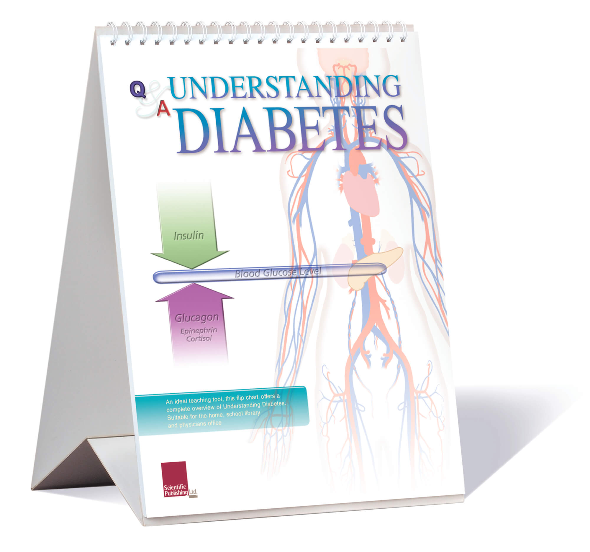 Understanding Diabetes Flip Chart