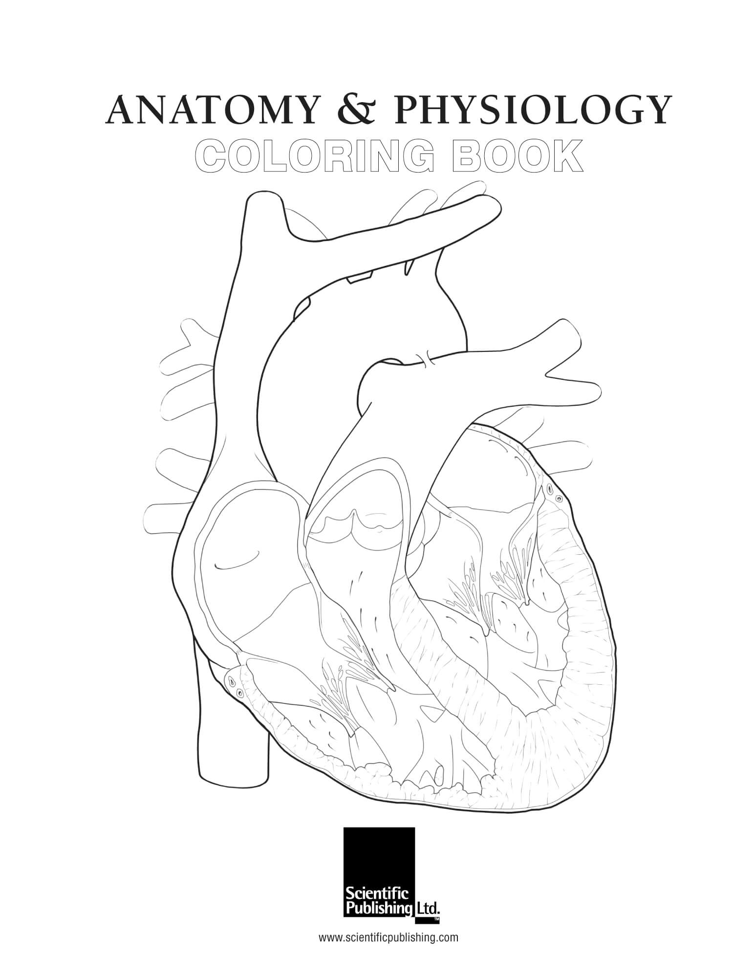 Anatomy & Physiology Coloring Book