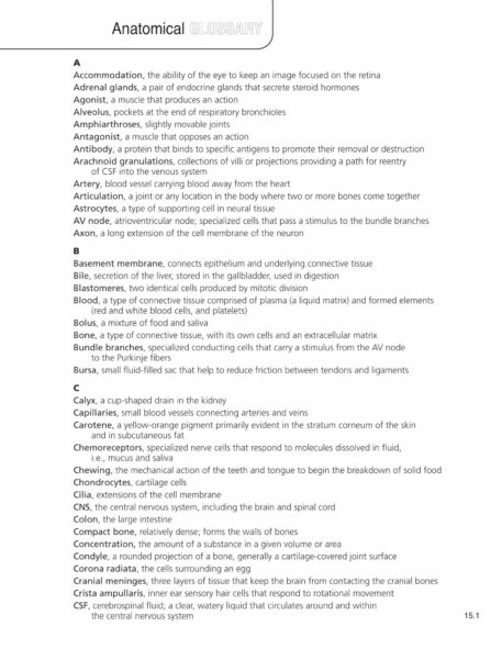 Anatomy & Physiology Coloring Book - Image 11