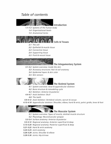 Anatomy & Physiology Coloring Book - Image 3