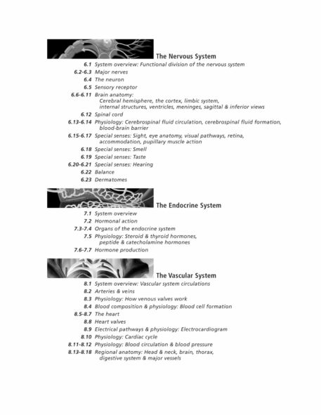Anatomy & Physiology Coloring Book - Image 4