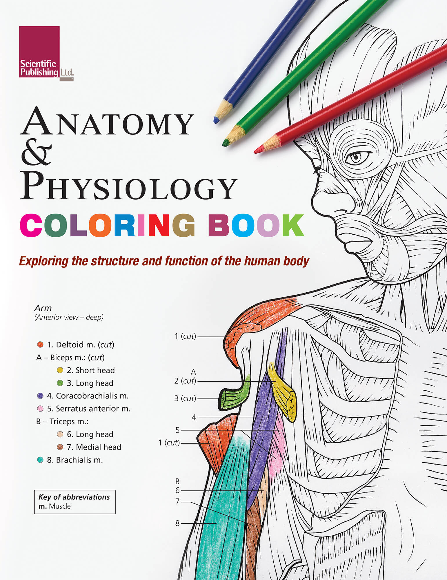 Anatomy & Physiology Coloring Book